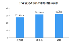 2020年甘肅省定西市中醫藥產業發展現狀分析報告（全文）