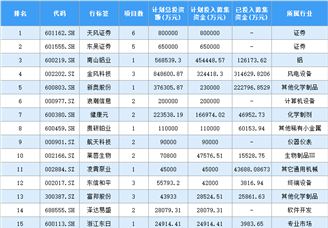 2020年中国上市企业配股计划投入募集资金排行榜