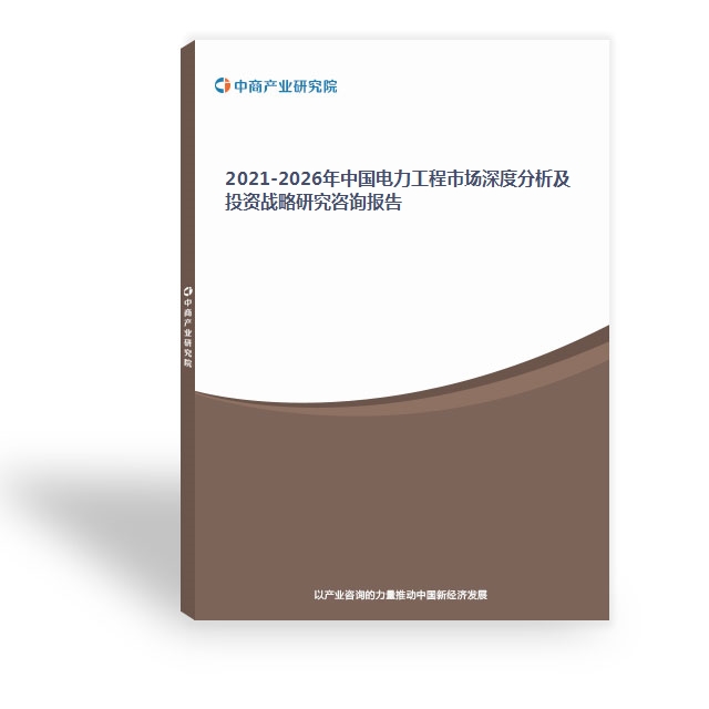 2024-2029年中國電力工程市場深度分析及投資戰略研究咨詢報告