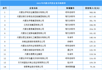 2021年内蒙古民营企业百强榜单（附全榜单）