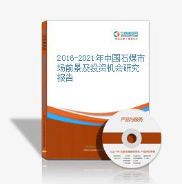 2016-2021年中國石煤市場前景及投資機會研究報告